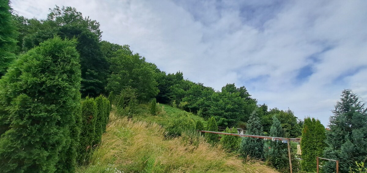 Rodinný dom a záhrada 650 m2, Hronský Beňadik, DOHODA (SM - 907) — foto 9