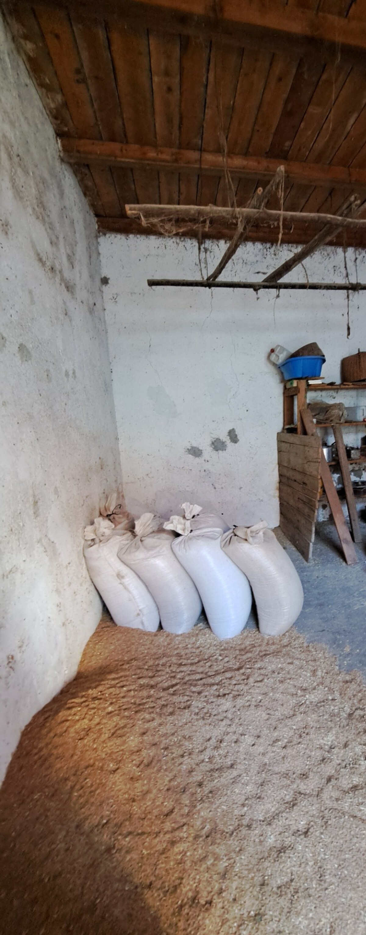 5 i. Rodinný dom, hospodárske priestory, záhrada 15 árov, Nová Dedina — foto 19