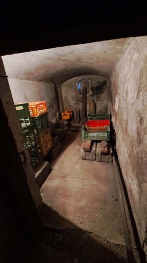 5 i. Rodinný dom, hospodárske priestory, záhrada 15 árov, Nová Dedina — foto 17