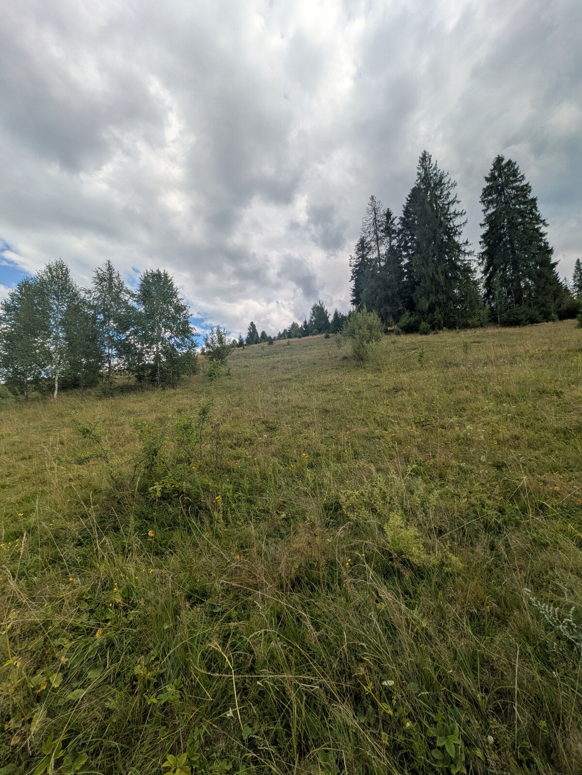 Stavebný pozemok kúsok od lyžiarskych vlekov Čierny Balog - Bexeľ — foto 5