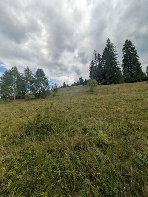 Stavebný pozemok kúsok od lyžiarskych vlekov Čierny Balog - Bexeľ — foto 5