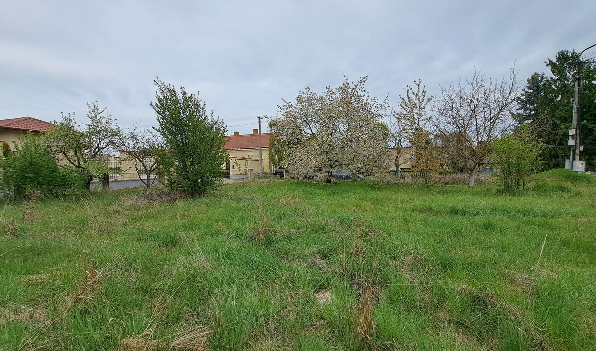 Stav. pozemok 815 m2 s budovou - garážou, Levice, Kalinčiakovo, SM-904
