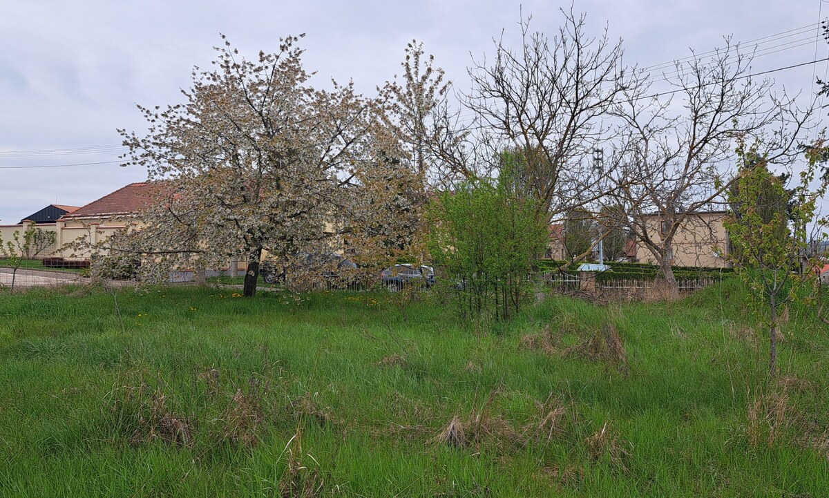 Stav. pozemok 815 m2 s budovou - garážou, Levice, Kalinčiakovo, SM-904 — foto 3