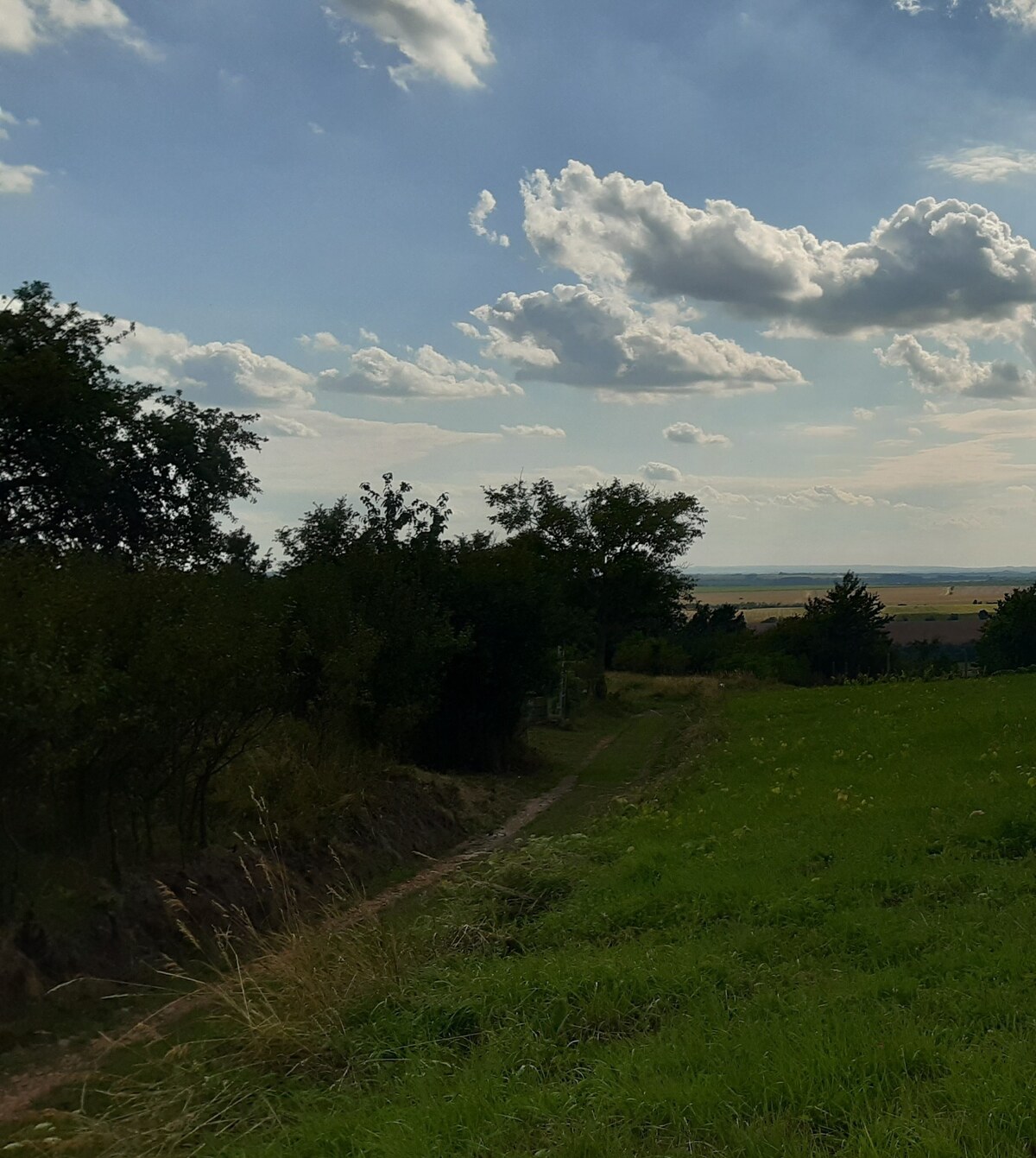 Pozemok 5.200 m2 , šírka 35 m, Horné Jabloňovce (SM - 903) — foto 10
