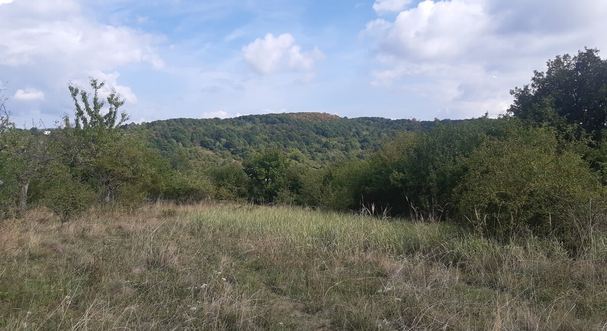 Pozemok 5.200 m2 , šírka 35 m, Horné Jabloňovce (SM - 903) — foto 4