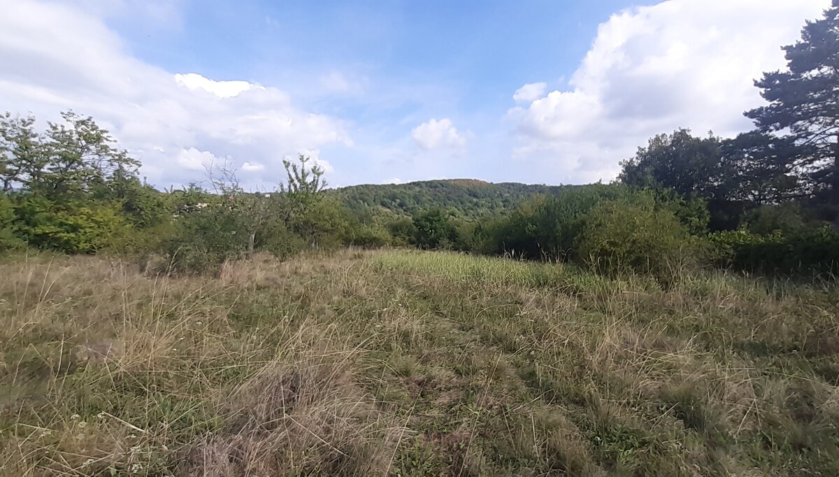 Pozemok 5.200 m2 , šírka 35 m, Horné Jabloňovce (SM - 903) — foto 5