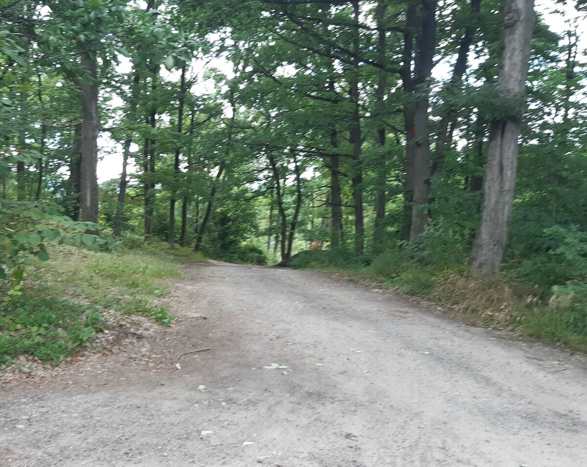 Pozemok 5.200 m2 , šírka 35 m, Horné Jabloňovce (SM - 903) — foto 8