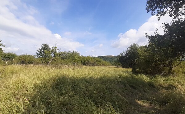 Pozemok 5.200 m2 , šírka 35 m, Horné Jabloňovce (SM - 903)