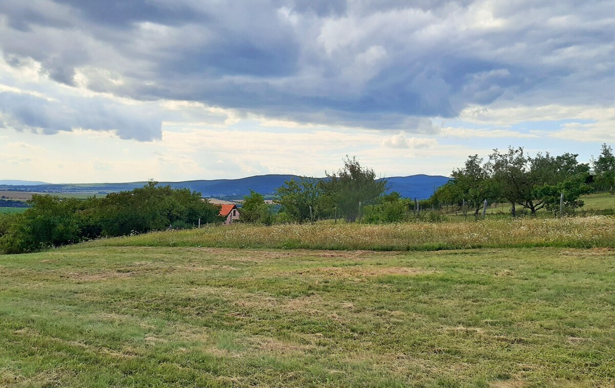 Rekreačný pozemok 1.500 m2, šírka 11 m, Jabloňovce (SM - 902) — foto 3