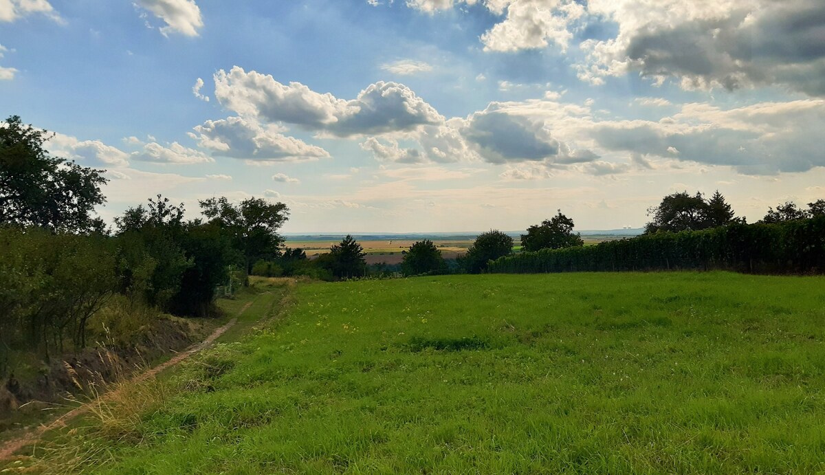 Rekreačný pozemok 1.500 m2, šírka 11 m, Jabloňovce (SM - 902) — foto 4