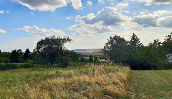 Rekreačný pozemok 1.500 m2, šírka 11 m, Jabloňovce (SM - 902)