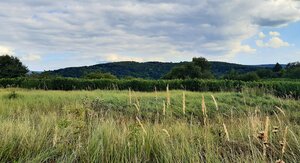 Rekreačný pozemok 1.500 m2, šírka 11 m, Jabloňovce (SM - 902) — foto 2