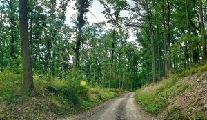 Rekreačný pozemok 1.500 m2, šírka 11 m, Jabloňovce (SM - 902) — foto 5