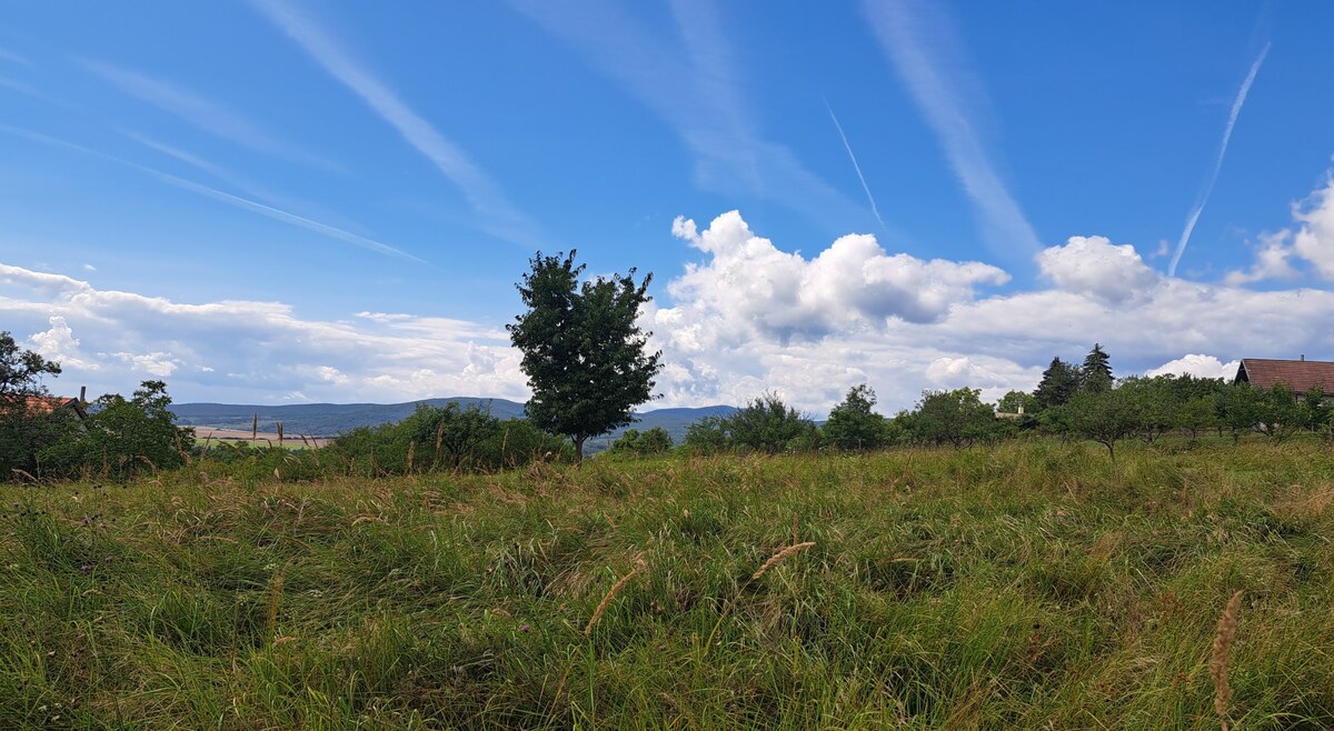 Rekreačný pozemok 2.750 m2, šírka 21 m, Jabloňovce (SM - 901) — foto 2