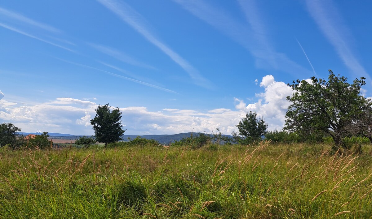 Rekreačný pozemok 2.750 m2, šírka 21 m, Jabloňovce (SM - 901) — foto 3