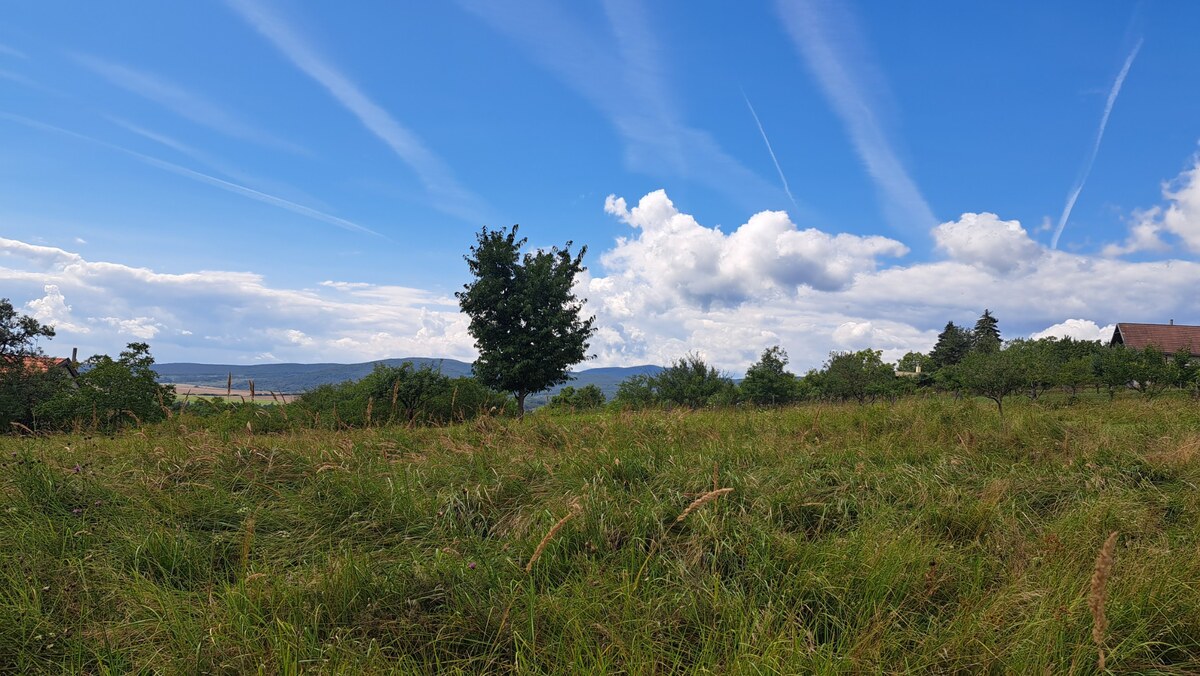 Rekreačný pozemok 2.750 m2, šírka 21 m, Jabloňovce (SM - 901) — foto 4