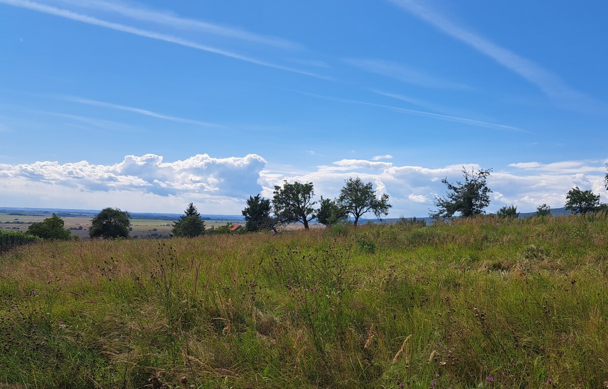 Rekreačný pozemok 2.750 m2, šírka 21 m, Jabloňovce (SM - 901) — foto 5