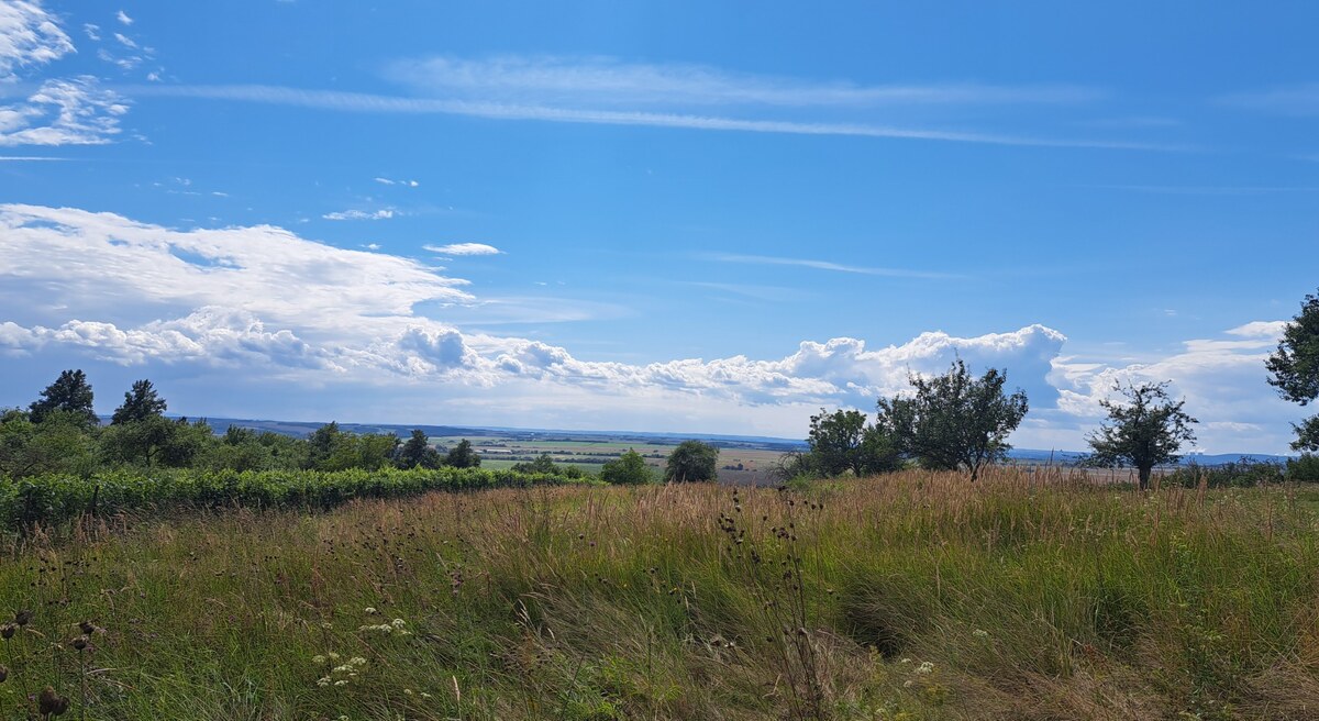 Rekreačný pozemok 2.750 m2, šírka 21 m, Jabloňovce (SM - 901) — foto 6
