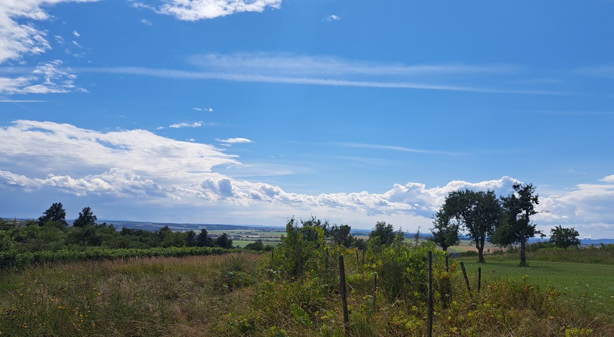 Rekreačný pozemok 2.750 m2, šírka 21 m, Jabloňovce (SM - 901) — foto 7