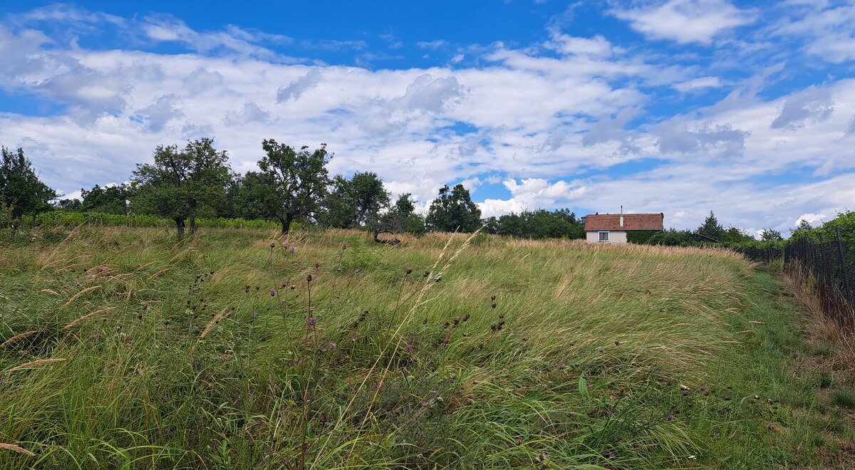 Rekreačný pozemok 2.750 m2, šírka 21 m, Jabloňovce (SM - 901) — foto 8