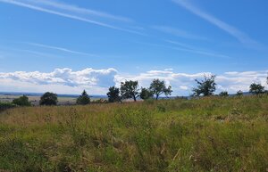 Rekreačný pozemok 2.750 m2, šírka 21 m, Jabloňovce (SM - 901) — foto 5