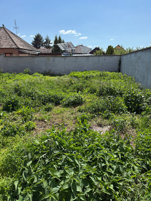Rodinný dom / Stavebný pozemok - Kuzmányho ulica ( 12.ulica ) Levice — foto 5