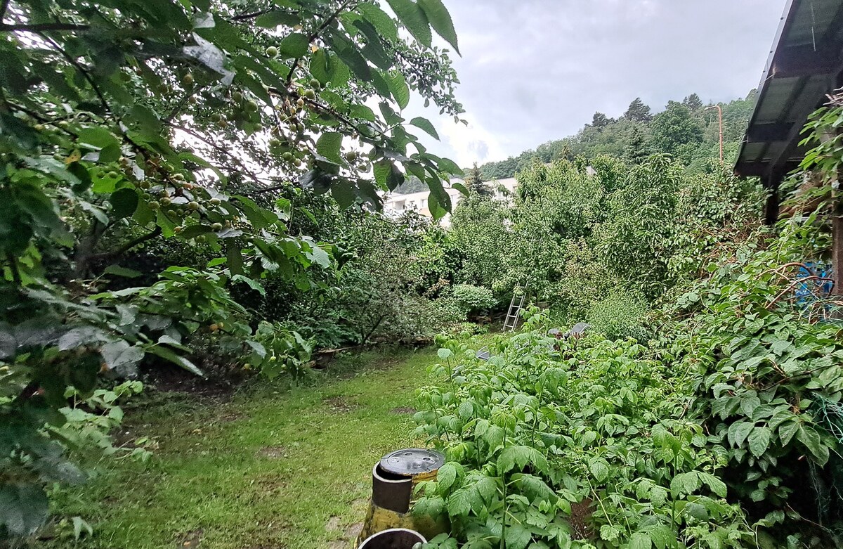 Reštaurácia s 6 izb. bytom a záhradou, celkom 700 m2, Kremnica SM-890 — foto 20