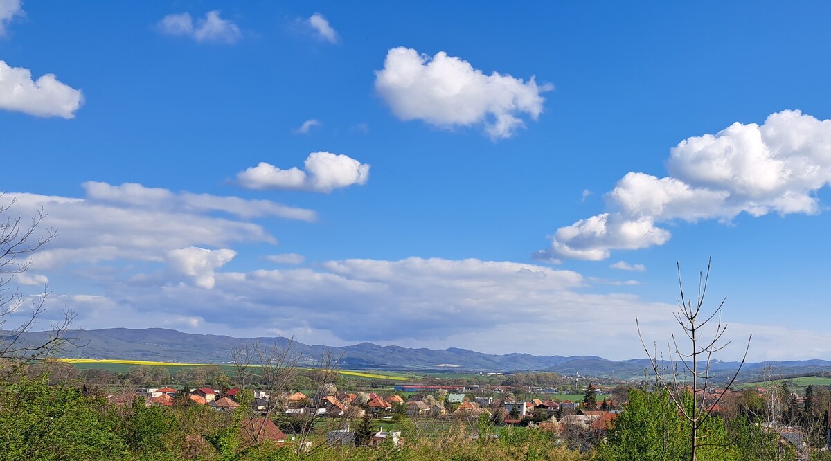 Pozemok 7.000 m2, šírka 55 m, Žemberovce, Cena DOHODOU (SM–867) — foto 6
