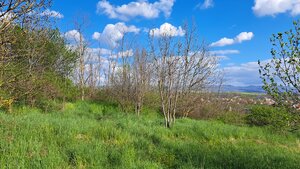 Pozemok 7.000 m2, šírka 55 m, Žemberovce, Cena DOHODOU (SM–867) — foto 4