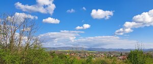 Pozemok 7.000 m2, šírka 55 m, Žemberovce, Cena DOHODOU (SM–867) — foto 5