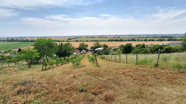 Vinica s viničným domom ( VH-94)
