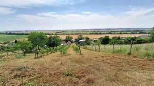 Vinica s viničným domom ( VH-94) — foto 1