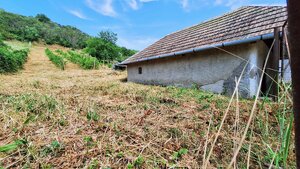 Vinica s viničným domom ( VH-94) — foto 2