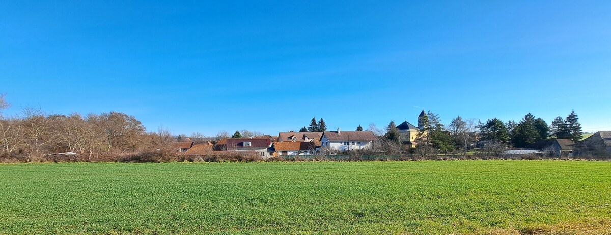 Stavebný pozemok 4.300 m2, Nová Dedina, Cena DOHODOU (SM–794) — foto 3