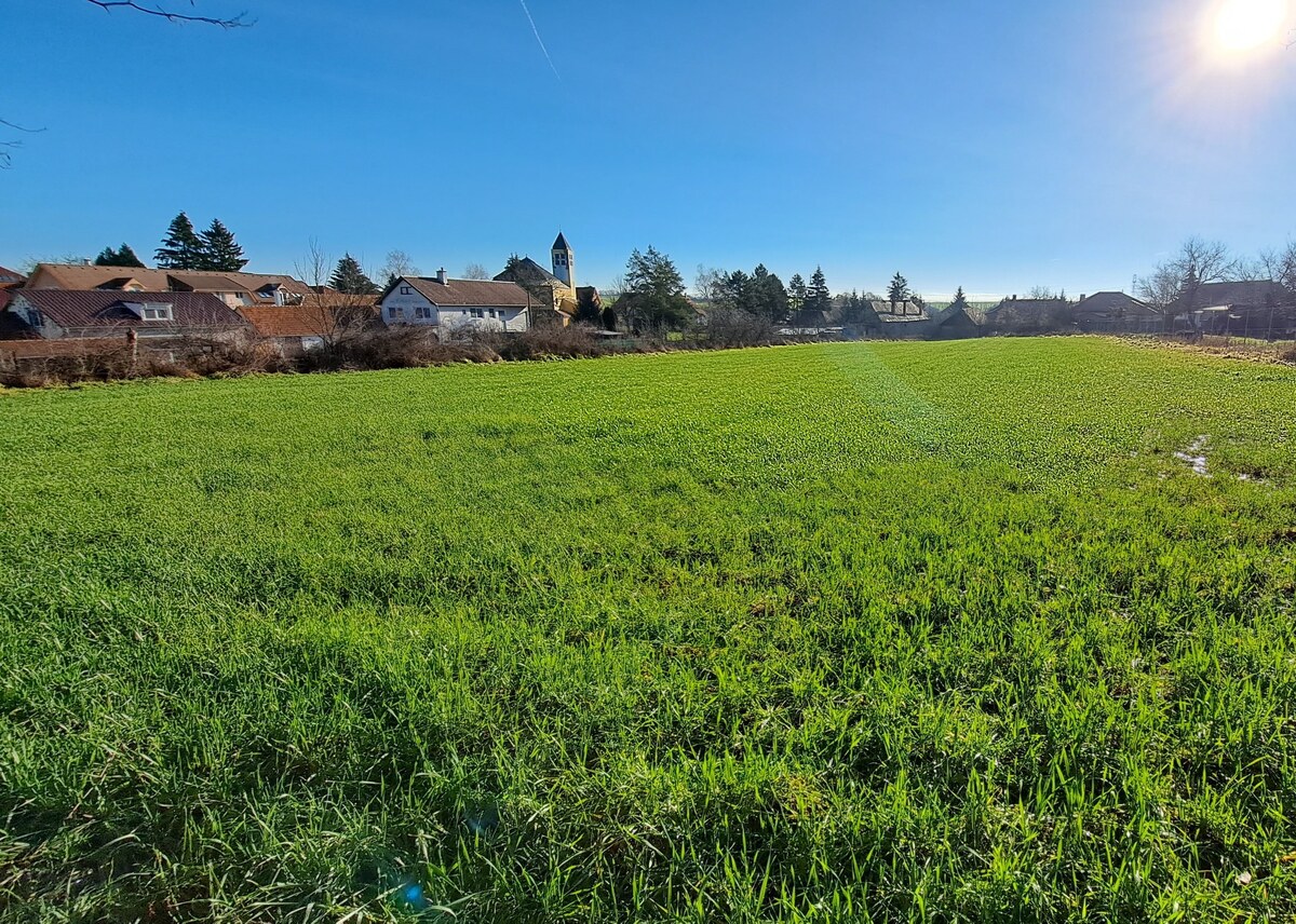 Stavebný pozemok 4.300 m2, Nová Dedina, Cena DOHODOU (SM–794) — foto 4