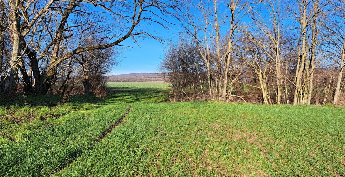 Stavebný pozemok 4.300 m2, Nová Dedina, Cena DOHODOU (SM–794) — foto 6