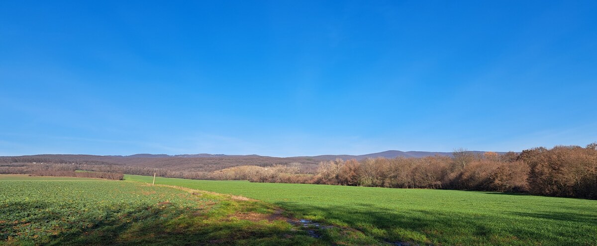 Stavebný pozemok 4.300 m2, Nová Dedina, Cena DOHODOU (SM–794) — foto 7