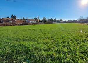 Stavebný pozemok 4.300 m2, Nová Dedina, Cena DOHODOU (SM–794) — foto 4