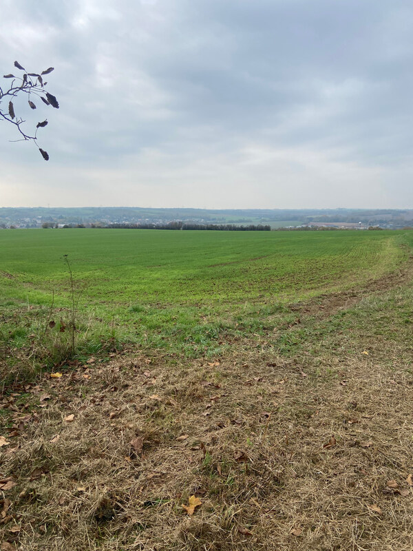 Vinica s pozemkom na výstvabu chaty - Žemberovce - znížená cena