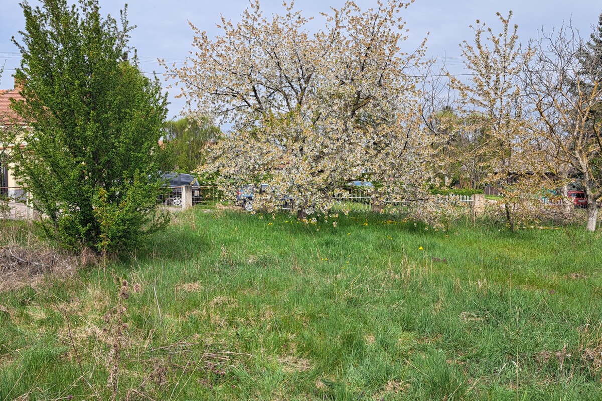 Stavebný pozemok 815 m2, budova - garáž 92 m2, Levice, Kalinčiakovo — foto 5