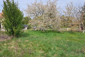 Stavebný pozemok 815 m2, budova - garáž 92 m2, Levice, Kalinčiakovo — foto 5