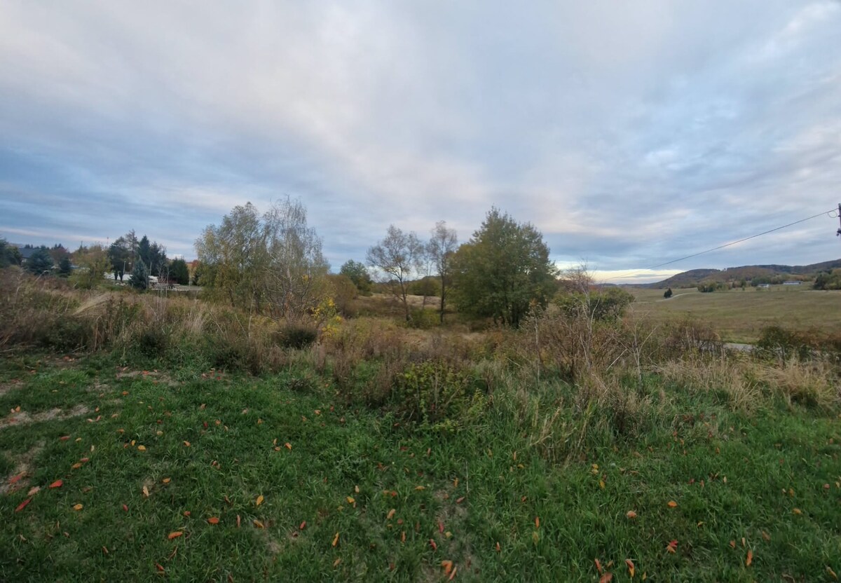 Pozemok na predaj - Veľká Lehota — foto 4
