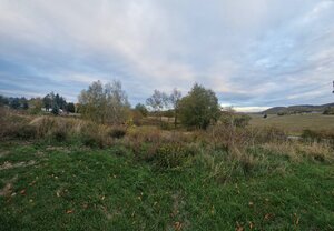 Pozemok na predaj - Veľká Lehota — foto 4