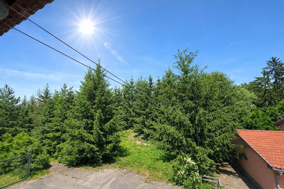 Bývanie, podnikanie – polyfunkčný objekt + chata, Krnča 1884 m2 — foto 4