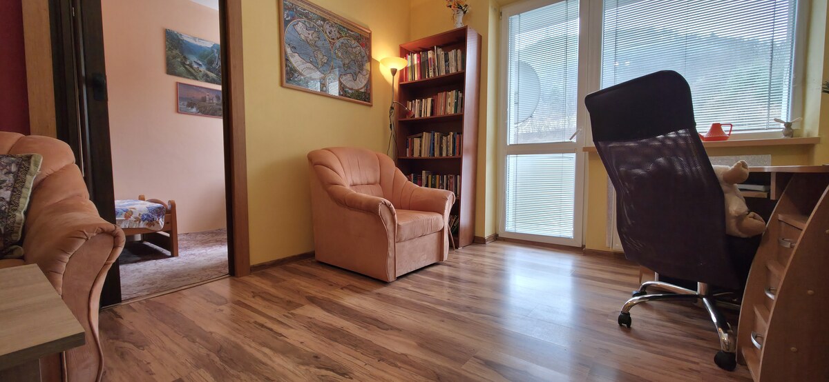 SLOVREAL - na predaj 3 izbový byt Vyhne, 63 m2 — foto 3