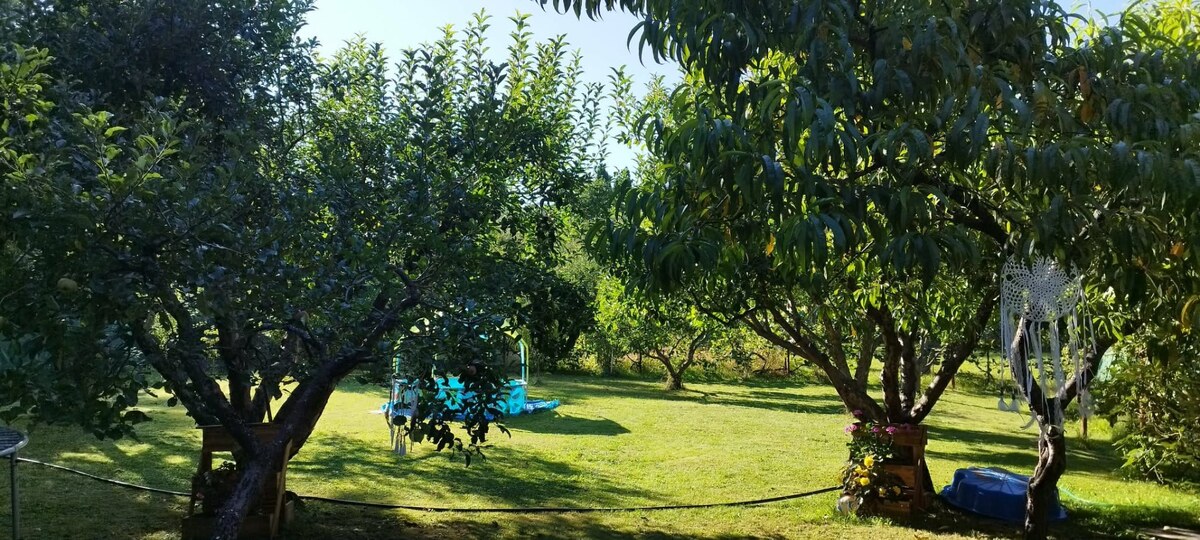 Záhradná chatka s krásnym pozemkom Lutila — foto 4