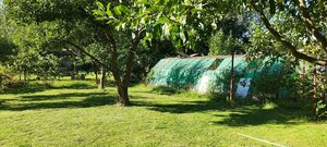 Záhradná chatka s krásnym pozemkom Lutila — foto 2
