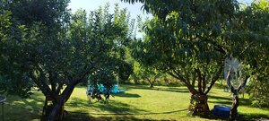 Záhradná chatka s krásnym pozemkom Lutila — foto 4