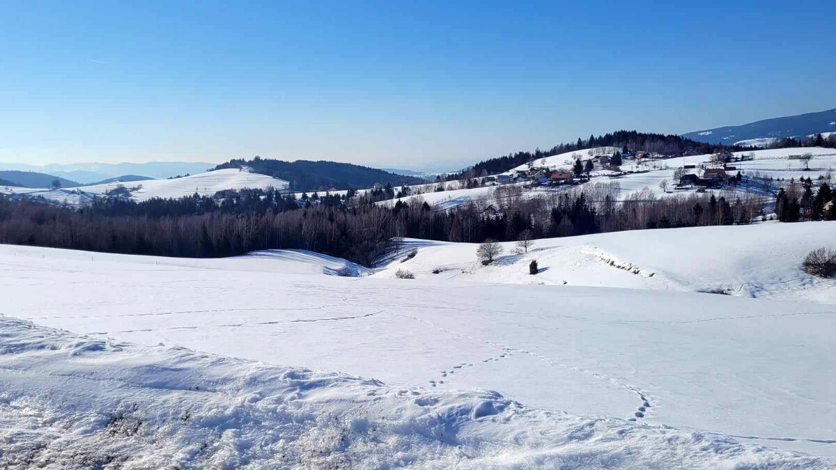 Pozemok na predaj v obci Detvianska Huta. — foto 4
