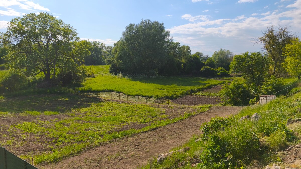 Stavebný pozemok so záhradou (1219 m2), Selešťany, okr. V. Krtíš. — foto 15